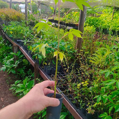 Entrega em todo Brasil